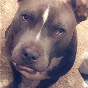 Meet your Posher, Martha